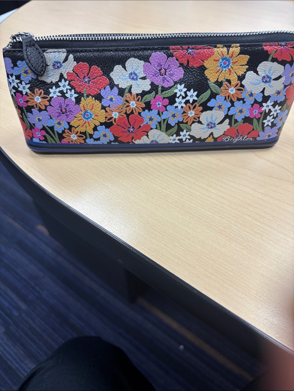 NWT Brighton Painted Poppies Pouch with Multicolor Blooms